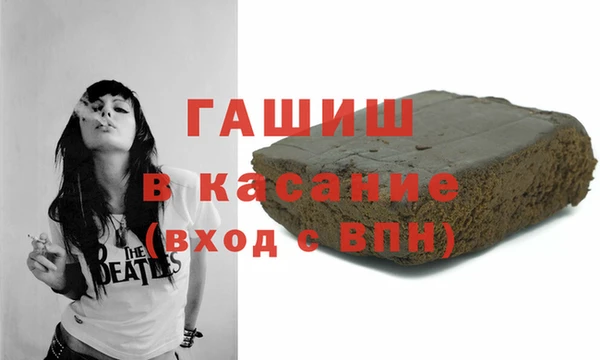 индика Елизово