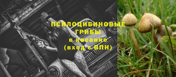 mdpv Иннополис