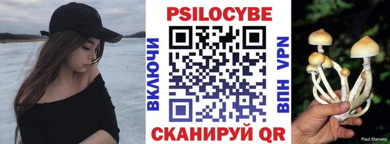 Псилоцибиновые грибы Psilocybine cubensis  Цивильск 